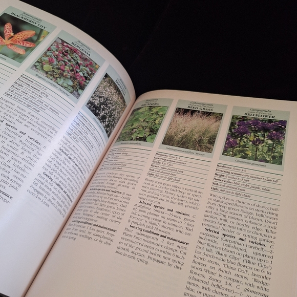Time Life Book on Perennials - Picture 5 of 9
